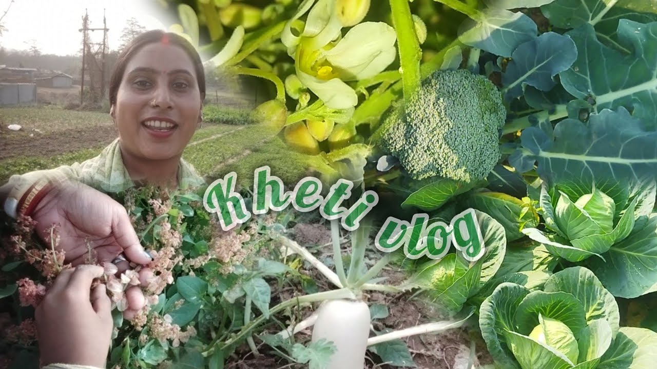 Kheti ka vlog