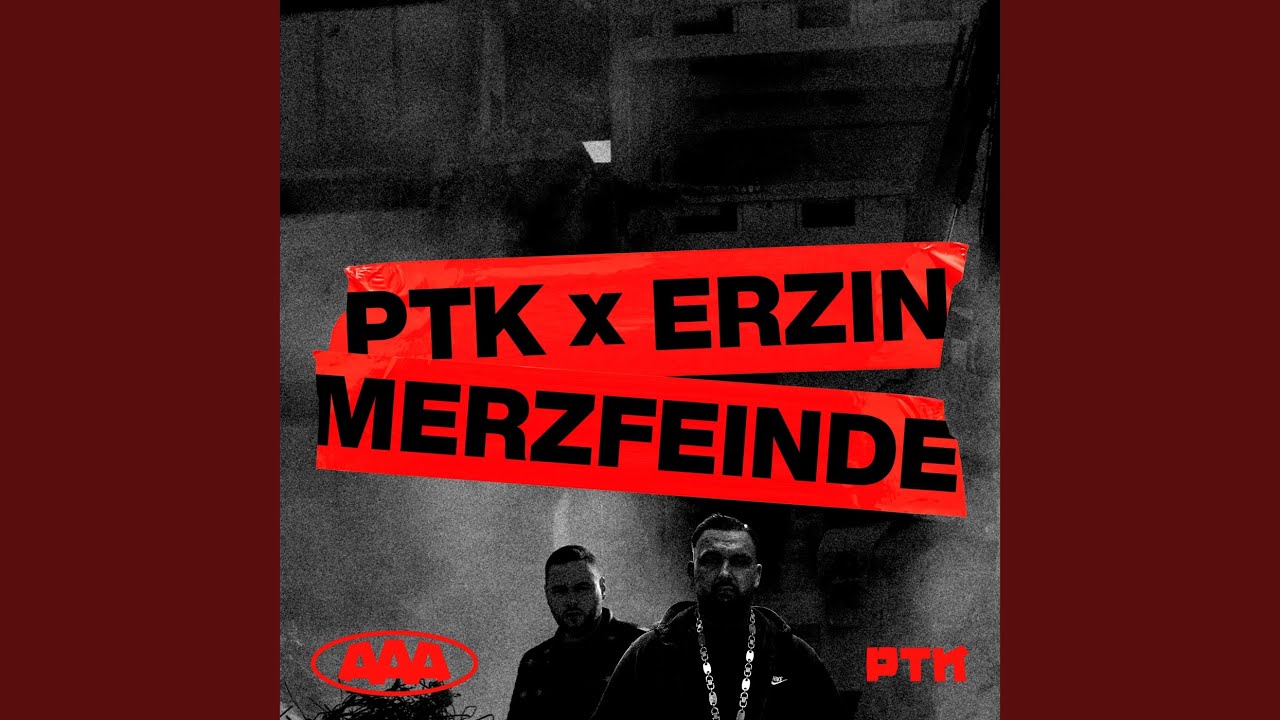 Merzfeinde