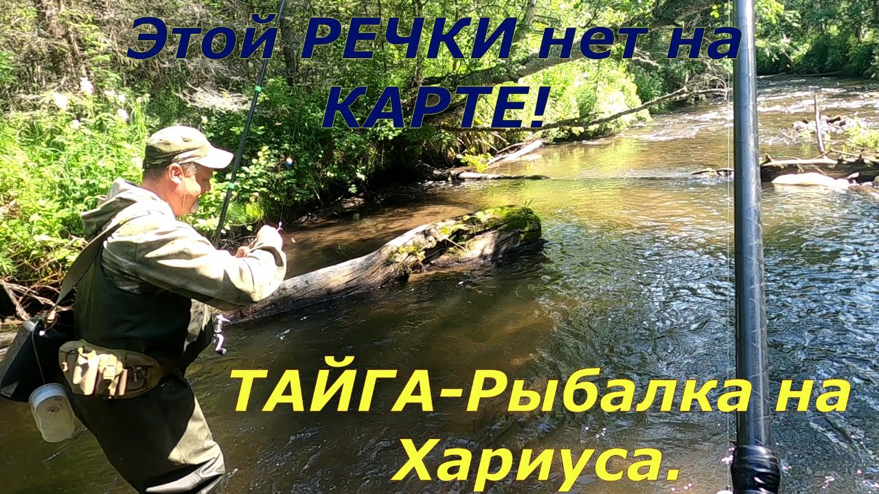 Ловля ХАРИУСА в глубине ТАЙГИ на ПОТЕРЯННОЙ Речушке/Трудовой ПОХОД,поймать РЫБЫ любой ценой!