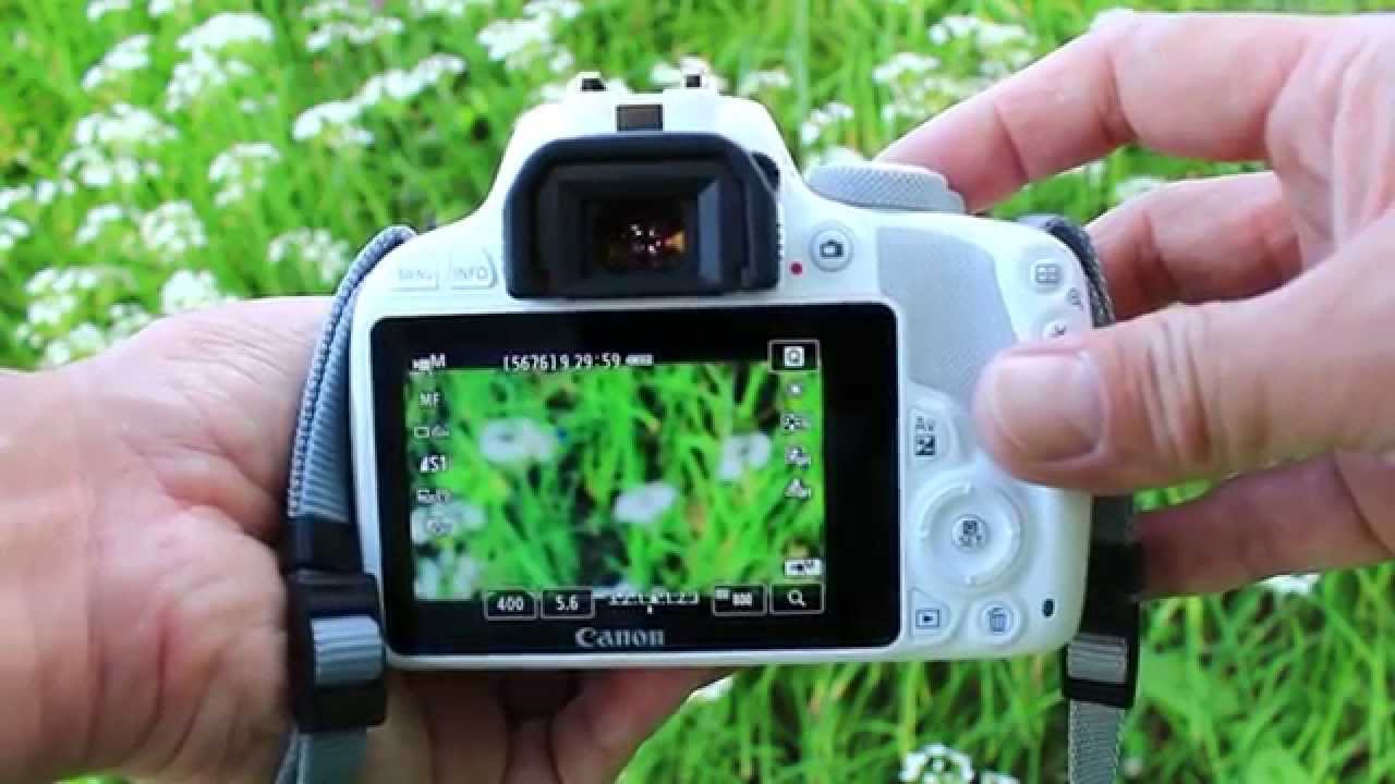 EOS Kiss X7の動画機能で蝶を撮る