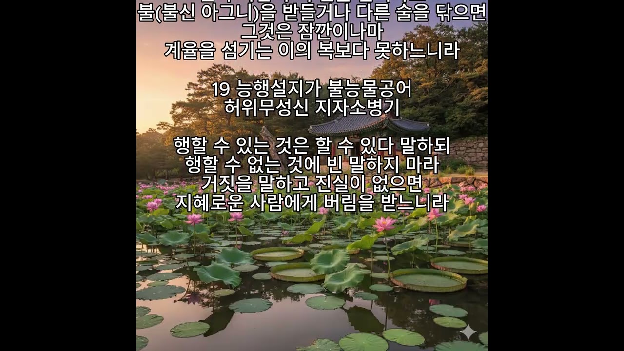 🪷마음등불 [제2교학품] 자명당 석일봉스님🪷 #부처님말씀 