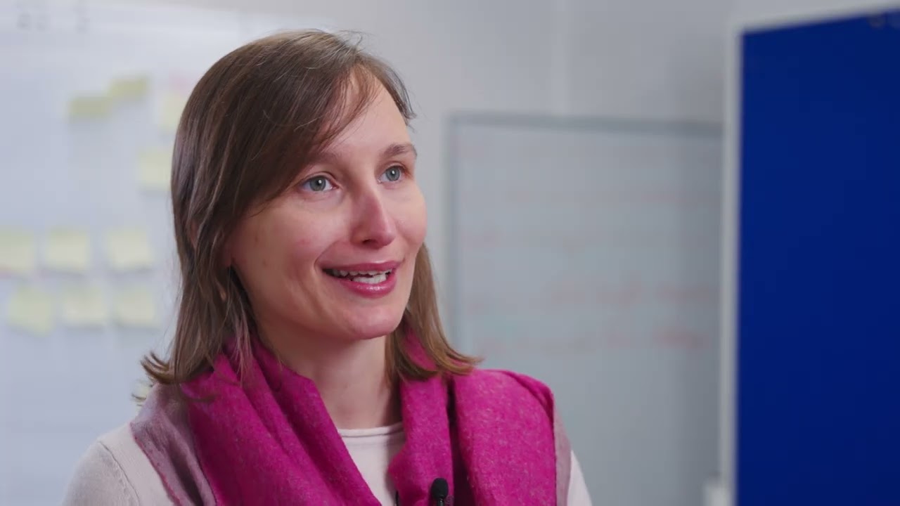 re:constitution Fellowship: Advancing Democracy and the Rule of Law in Europe | DRI