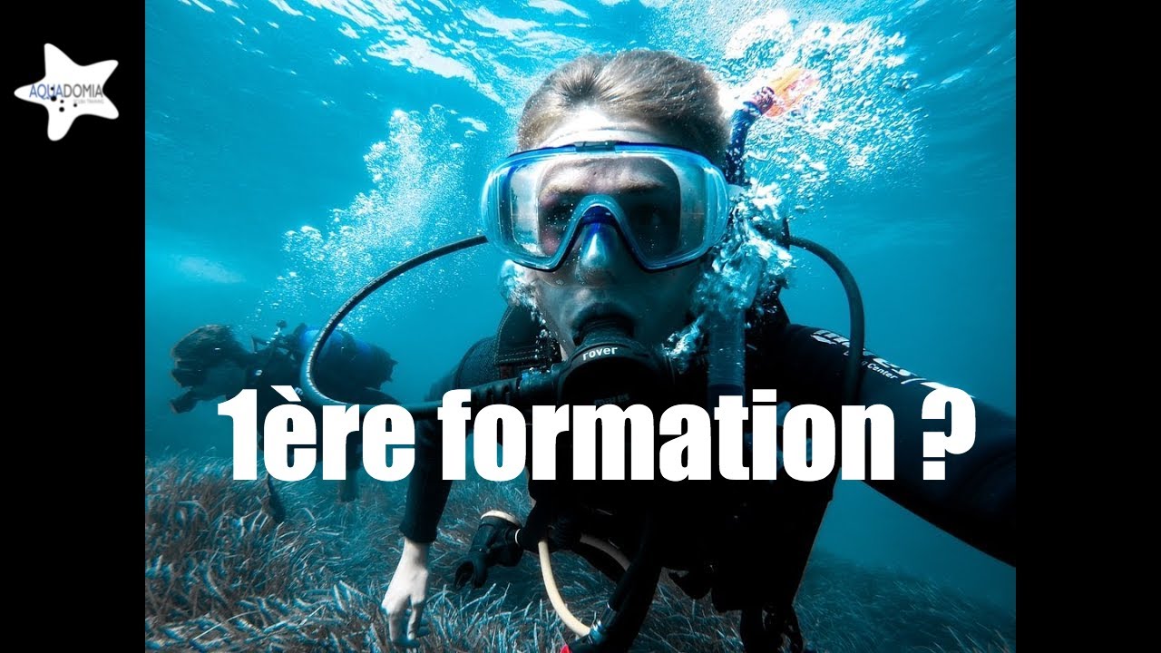 Comment se passe une formation plong&eacute;e niveau 1 ou open water Padi, SDI