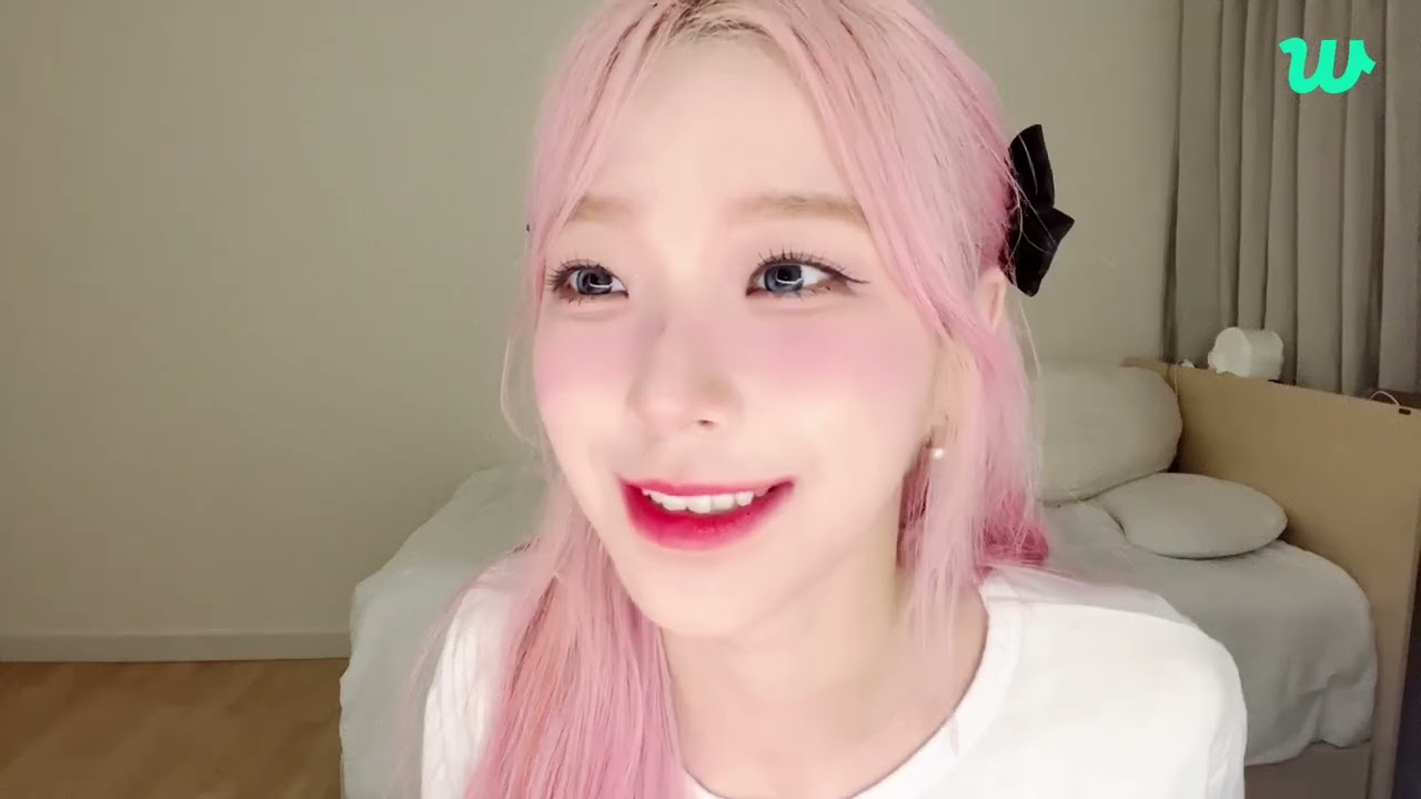 [240912] . || 백지헌