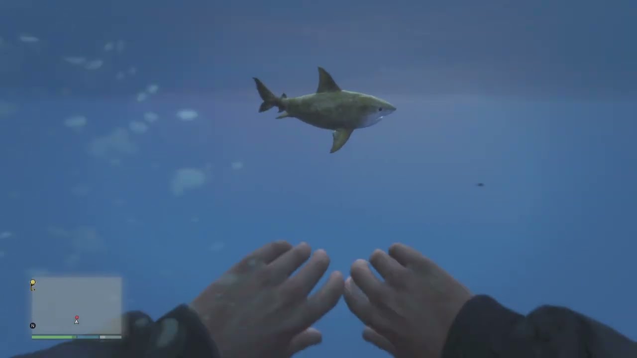 Franklin and Michael drive to the end of the map big shark!!!