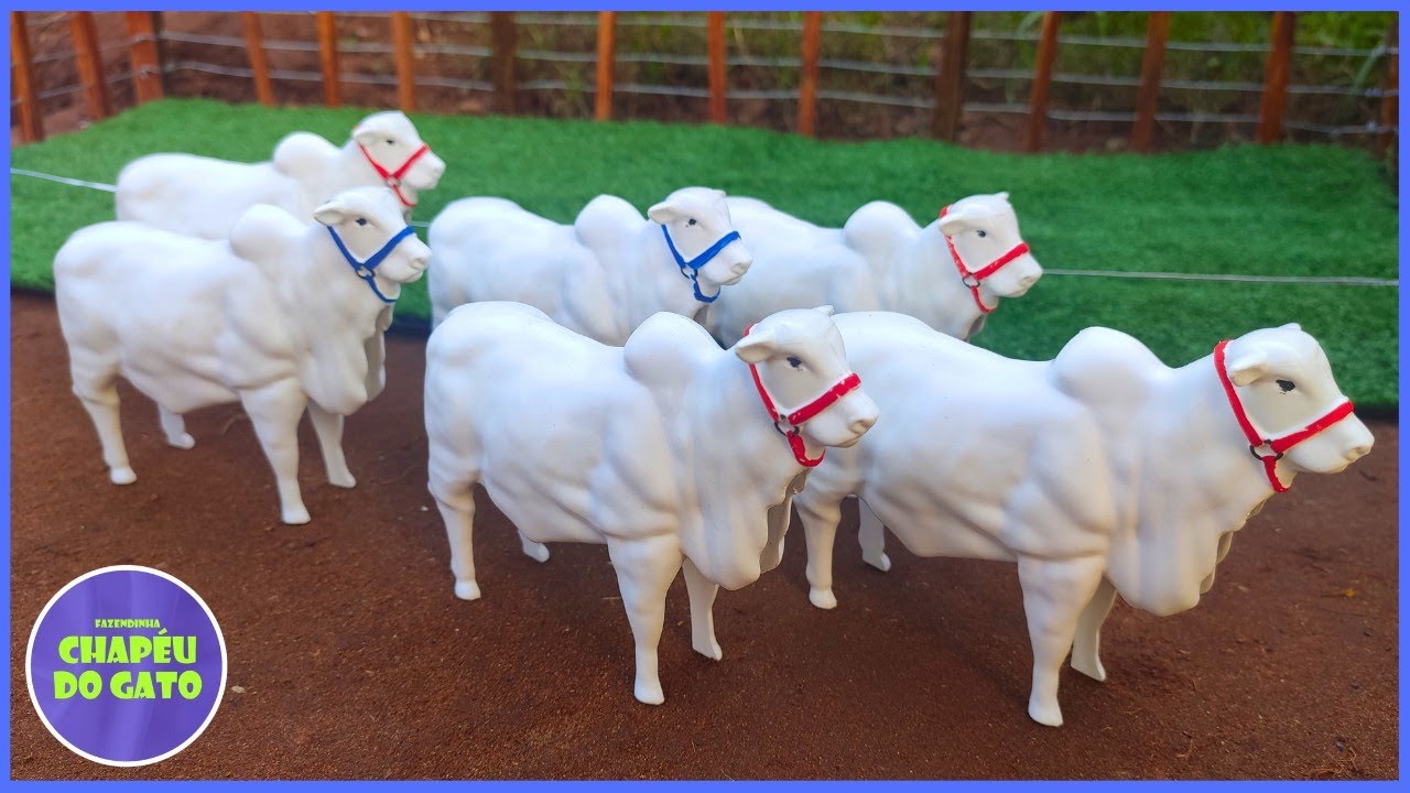 Fazenda de Brinque: Levando os Touros Nelore para o Curral Novo! Uma Jornada Incrível!