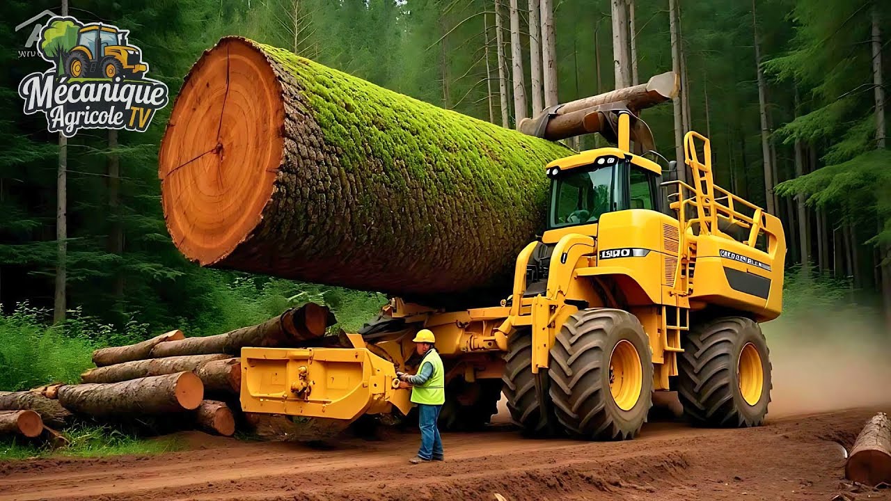 12 Machines d&rsquo;Exploitation et de Transformation du Bois Incroyables &agrave; un Niveau Sup&eacute;rieur