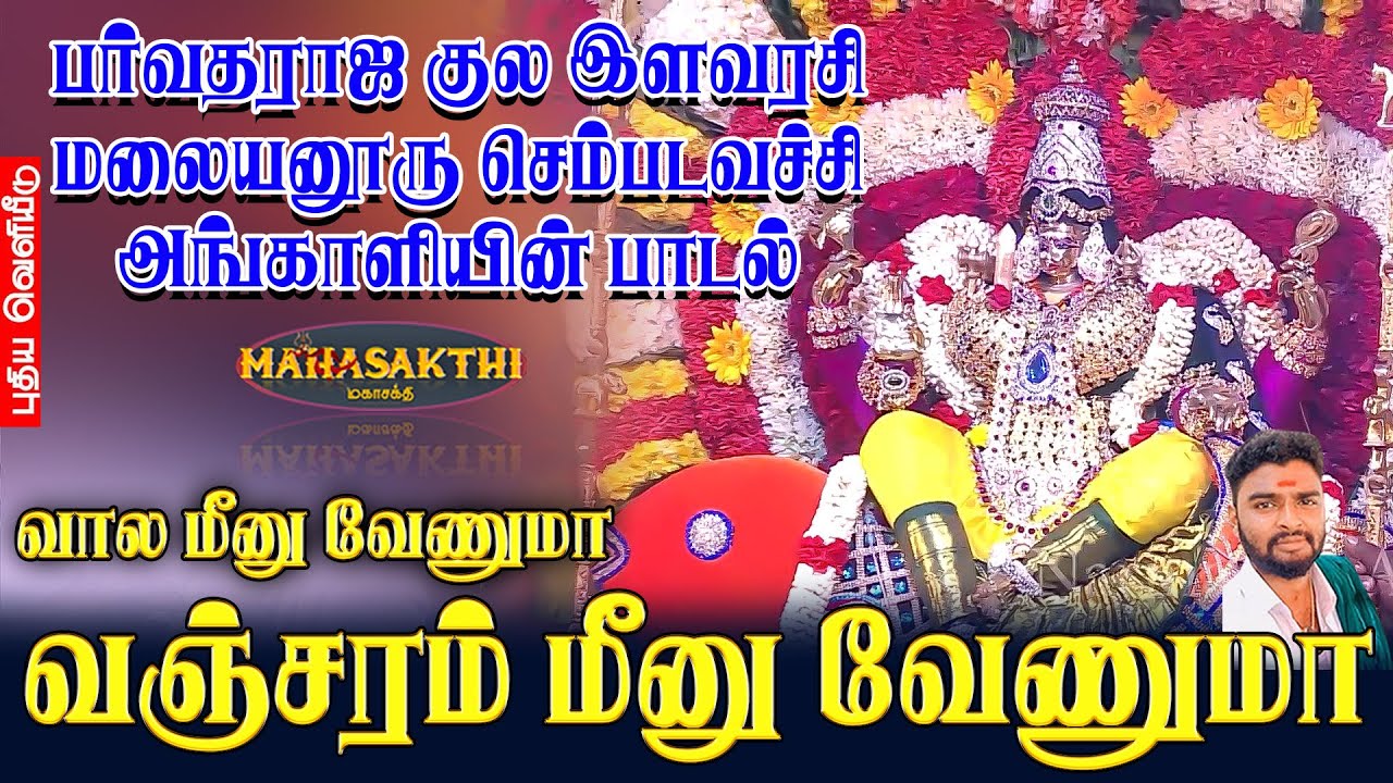 வால மீனு வேணுமா வஞ்சரம் மீனு வேணுமா | பர்வதராஜ குல இளவரசி மலையனூரு செம்படவச்சி அங்காளியின் பாடல்