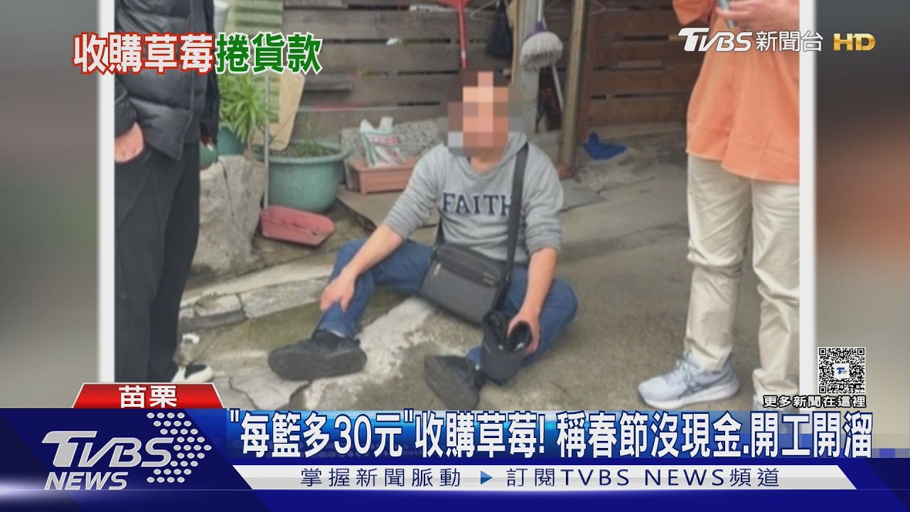 草莓盤商涉詐騙! 苗栗狂掃貨「沒付款」警抓到人｜TVBS新聞 @TVBSNEWS02