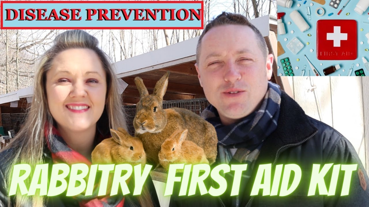 RABBITRY DISEASE PREVENTION & FIRST AID