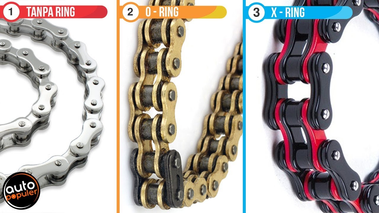 Lebih Bagus Mana? Rantai Biasa, O Ring, Atau X Ring