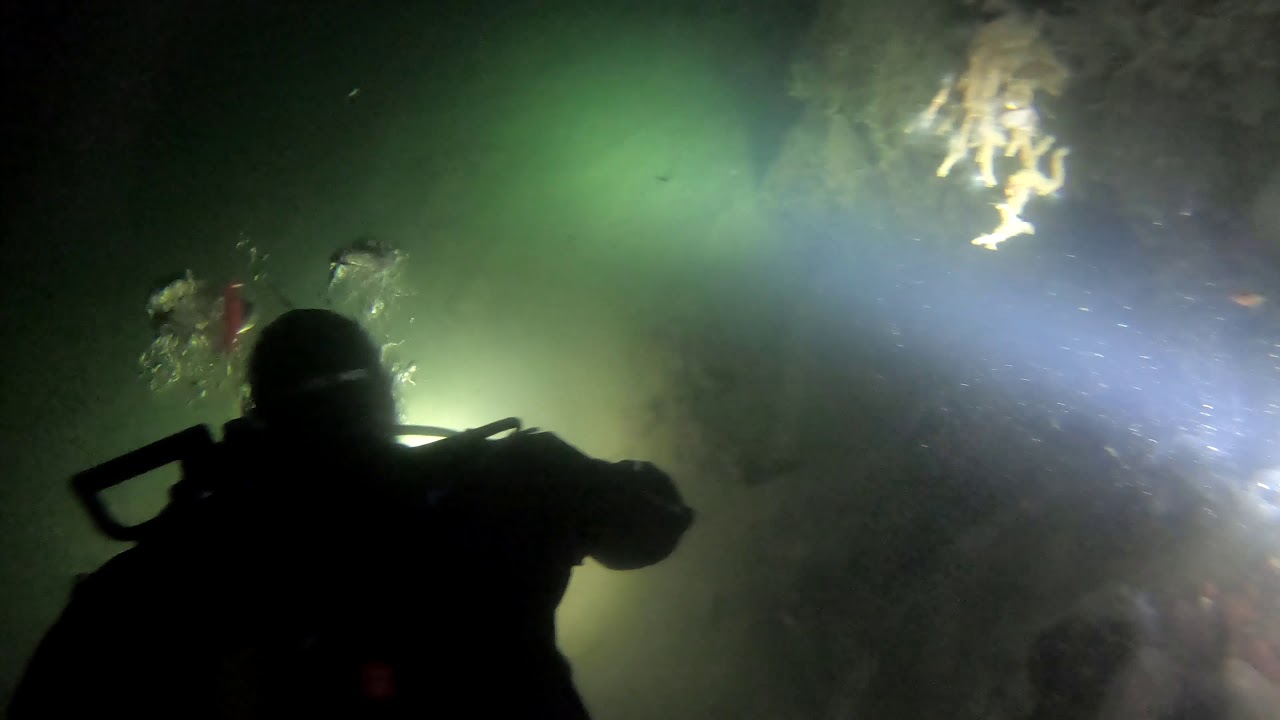Nightdiving at Jordfall in Gullmarn
