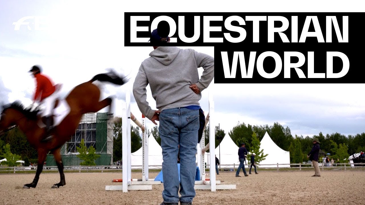 What is a groom? Patrice Deslauries explains his job at the Nations Cup™ Jumping | Equestrian World