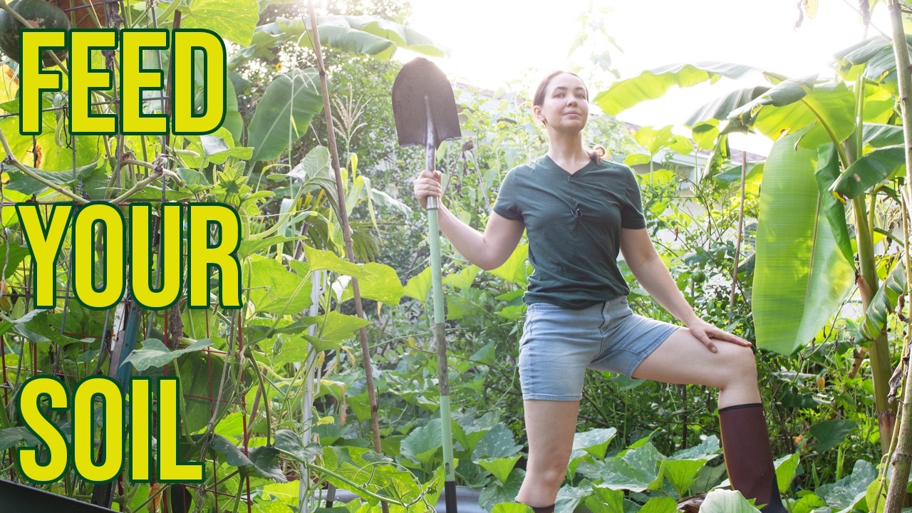Soil First Gardening: The Key to Abundant Food Forests in Florida