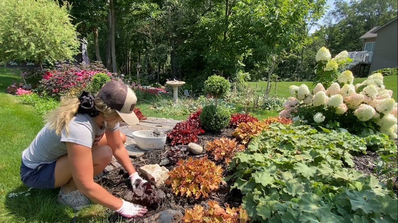 Transplanting Plants to New Spots in the Garden 🪴 Real Life Gardening Trial and Error!