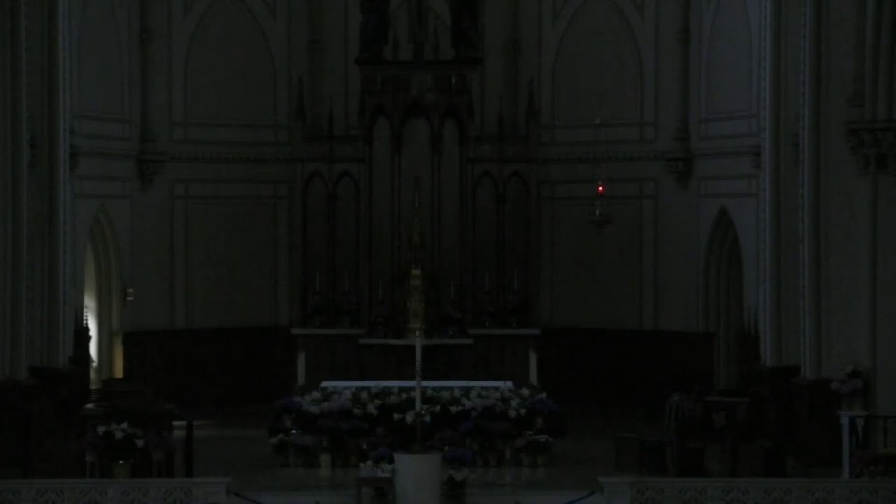 St Dominic Church Live Stream