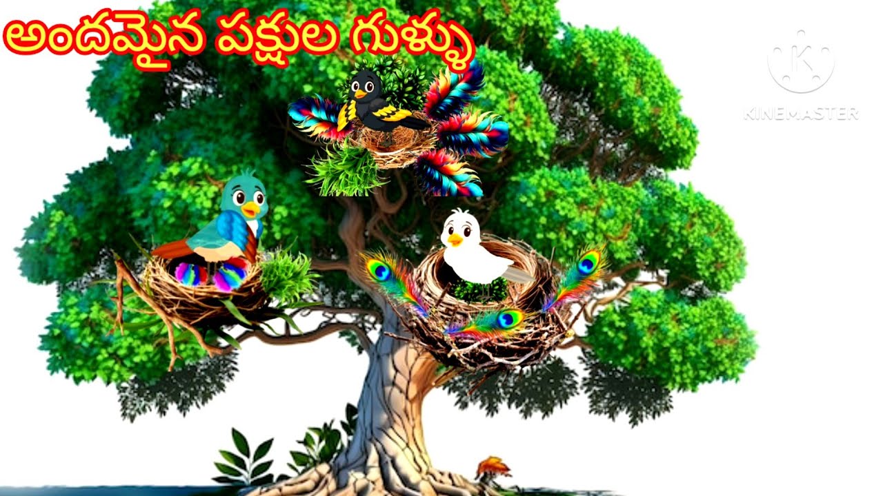 వర్షాకాలంలో పక్షుల కష్టాలు , best birds stories in Telugu, Telugu stories, Telugu birds stories,