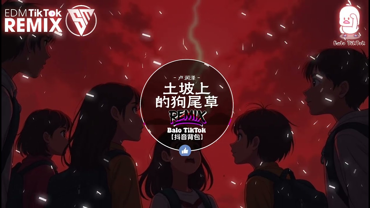 卢润泽 - 土坡上的狗尾草 (抖音旋律热播DJ版) Sườn Đất Bên Trên Cẩu Vĩ Thảo (Remix)『土坡上狗尾巴草摇啊，摇得人眼泪掉。』抖音最火的歌曲｜Trending