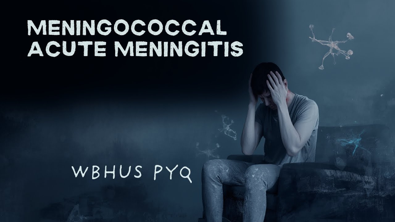 Meningococcal and Acute Meningitis pyq