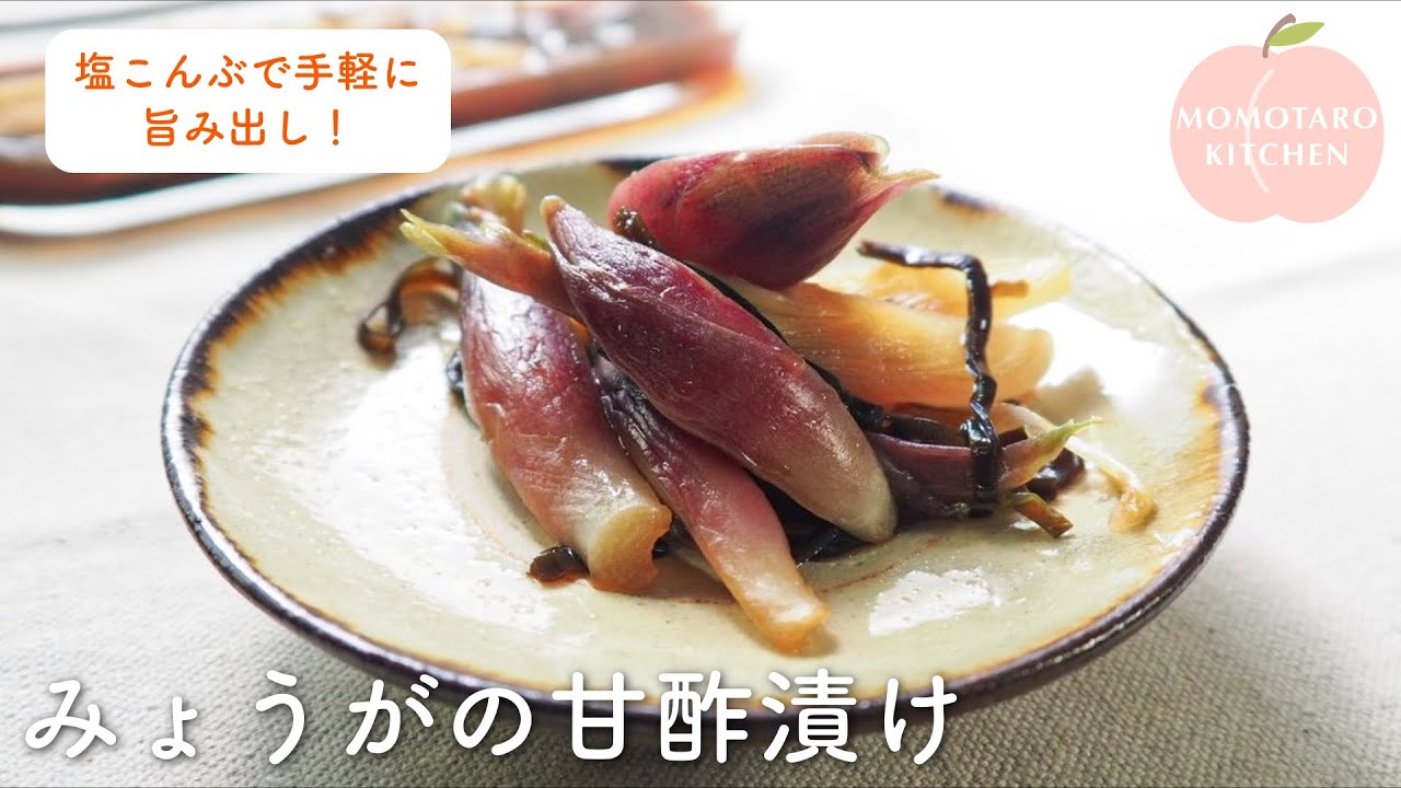 塩こんぶで手軽に！「みょうがの甘酢漬け」の作り方｜箸休めになる簡単副菜レシピ｜レンジで手軽にアク抜き