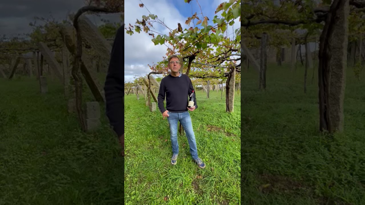 BODEGAS ZARATE EULOGIO POMARES