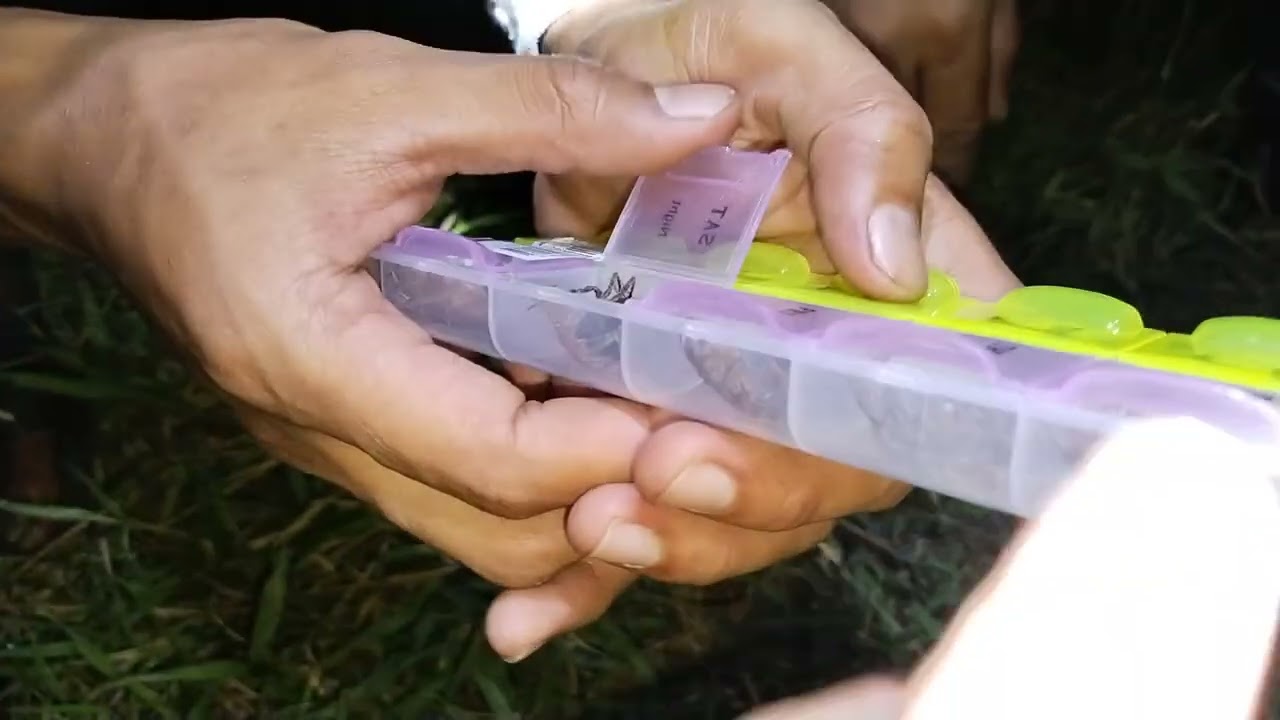 🕷️