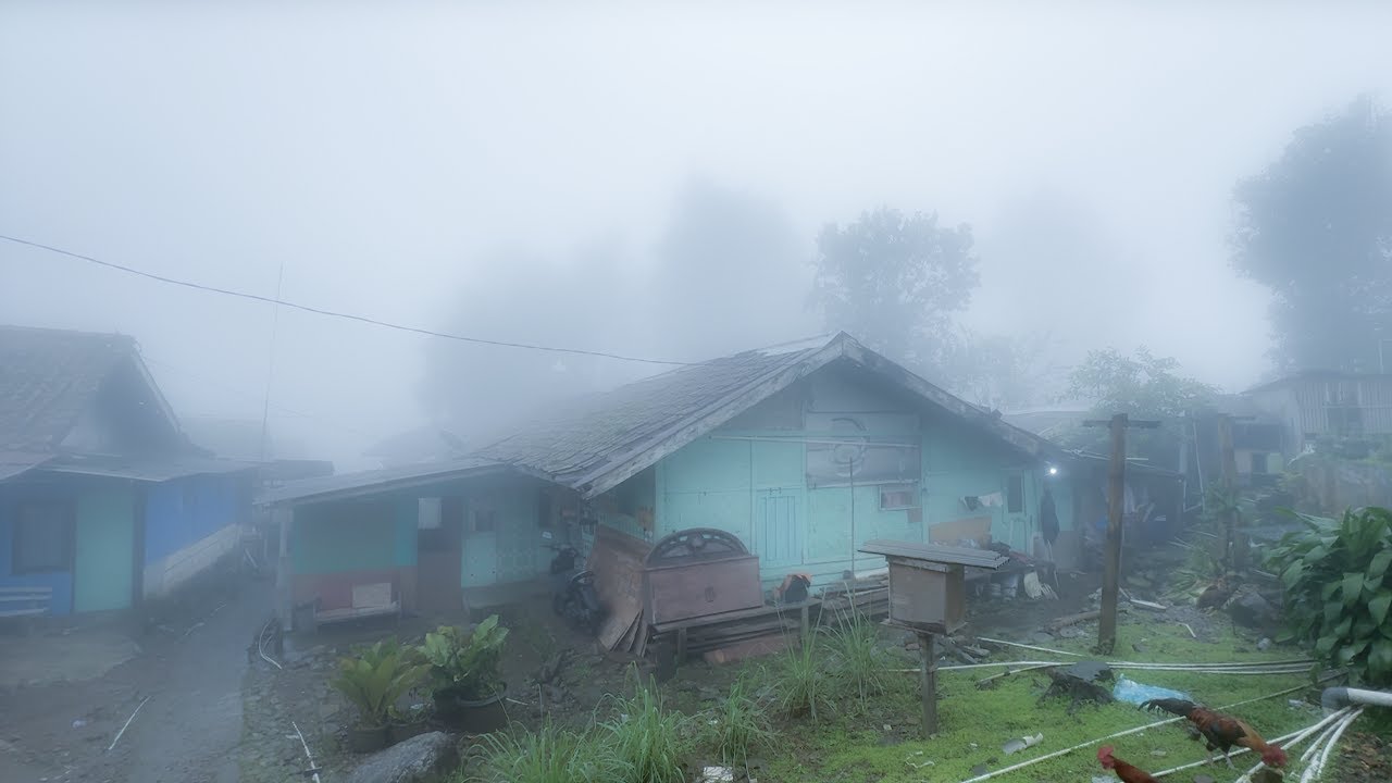 KELEWATAN DINGIN ‼️ SUASANA DESA DI ATAS GUNUNG PUNCAK BOGOR 