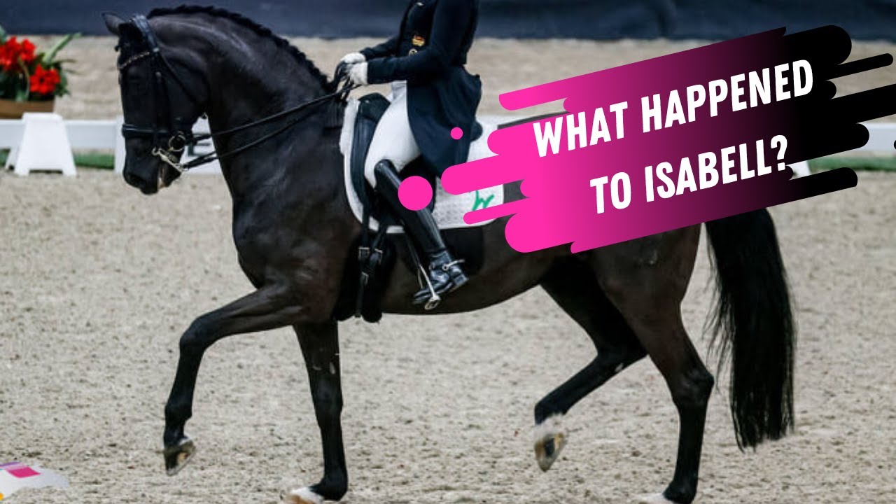 What Happened To Isabell Werth And Weihegold At The European Championships?