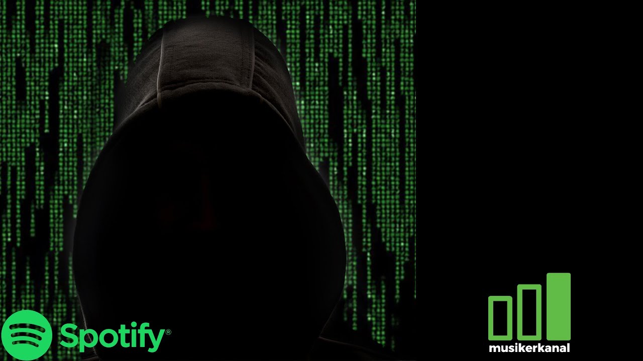 Spotify Hacks: Wie man auf Spotify Playlists kommt - Spotify Promotion - Spotify Playlist Promotion