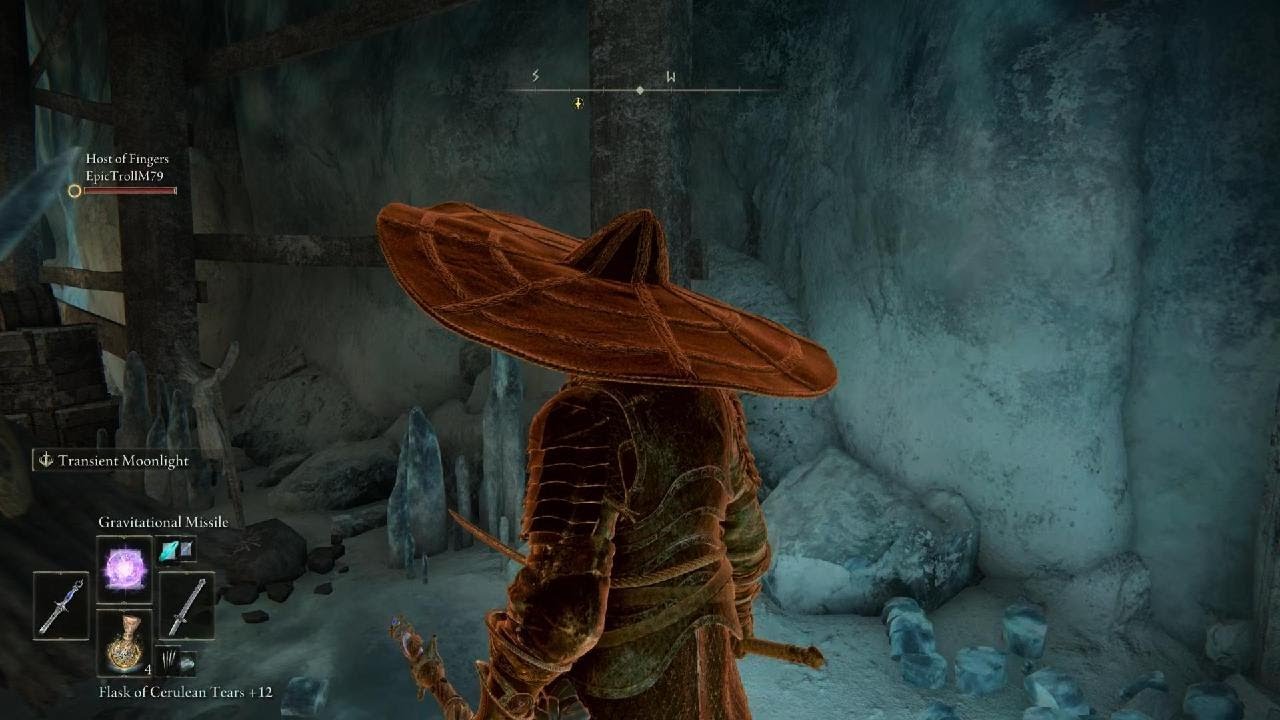 ELDEN RING coop