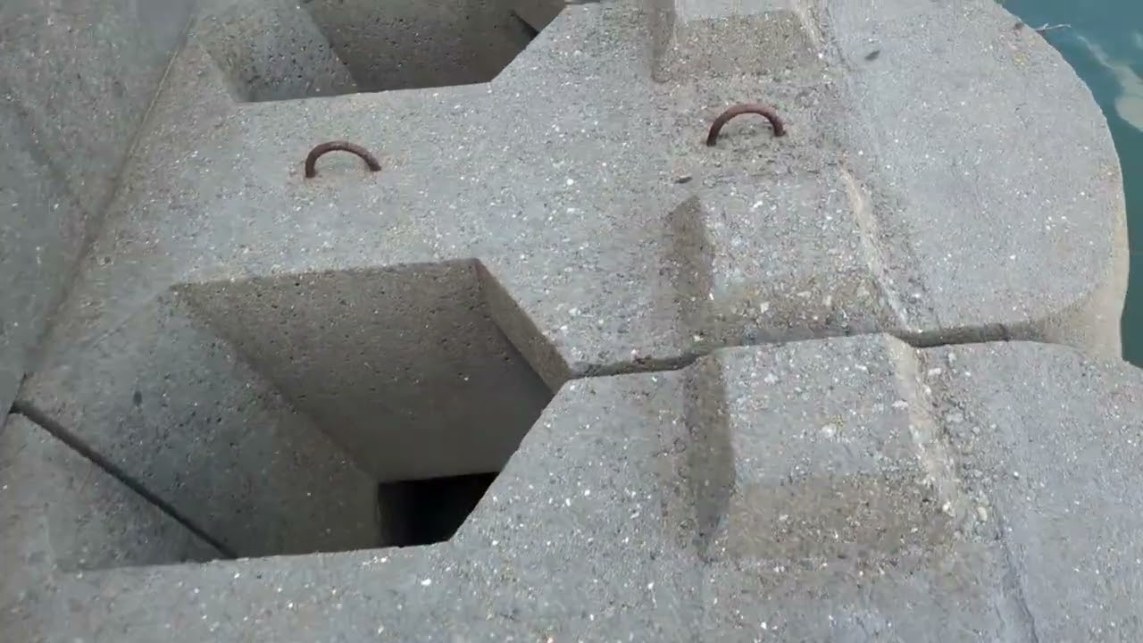 熊本県三角港⚓️での釣行❢果して黒釣れてくれるでしょうかぁ～!？😅🖐️