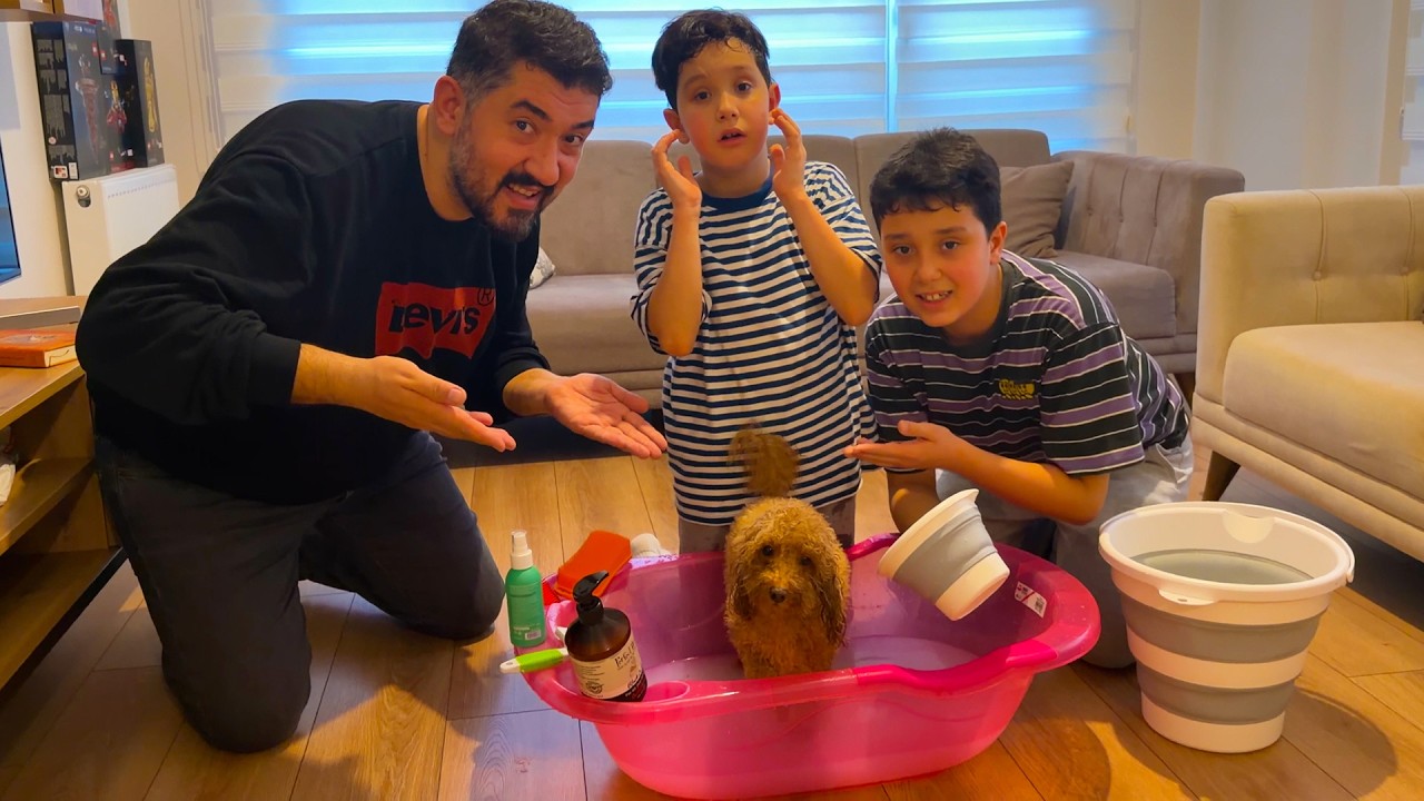 EYVAH MİNİK KÖPEĞİMİZ EVDEN ORMANA KAÇTI !! KEDİ SALDIRISINA UĞRADI !! BANYO YAPTIRDIK.!!
