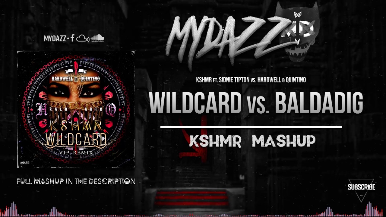 Wildcard vs. Baldadig (KSHMR Sunburn Mashup 2016)