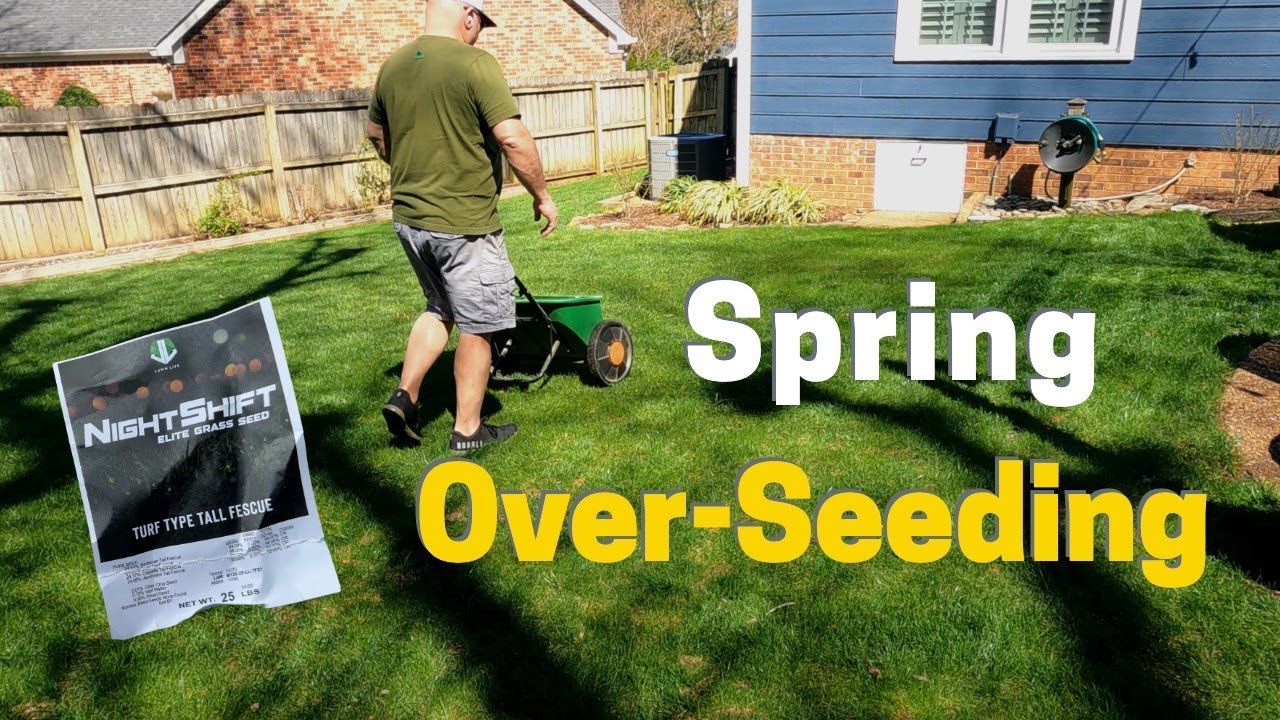 Spring Over-Seeding