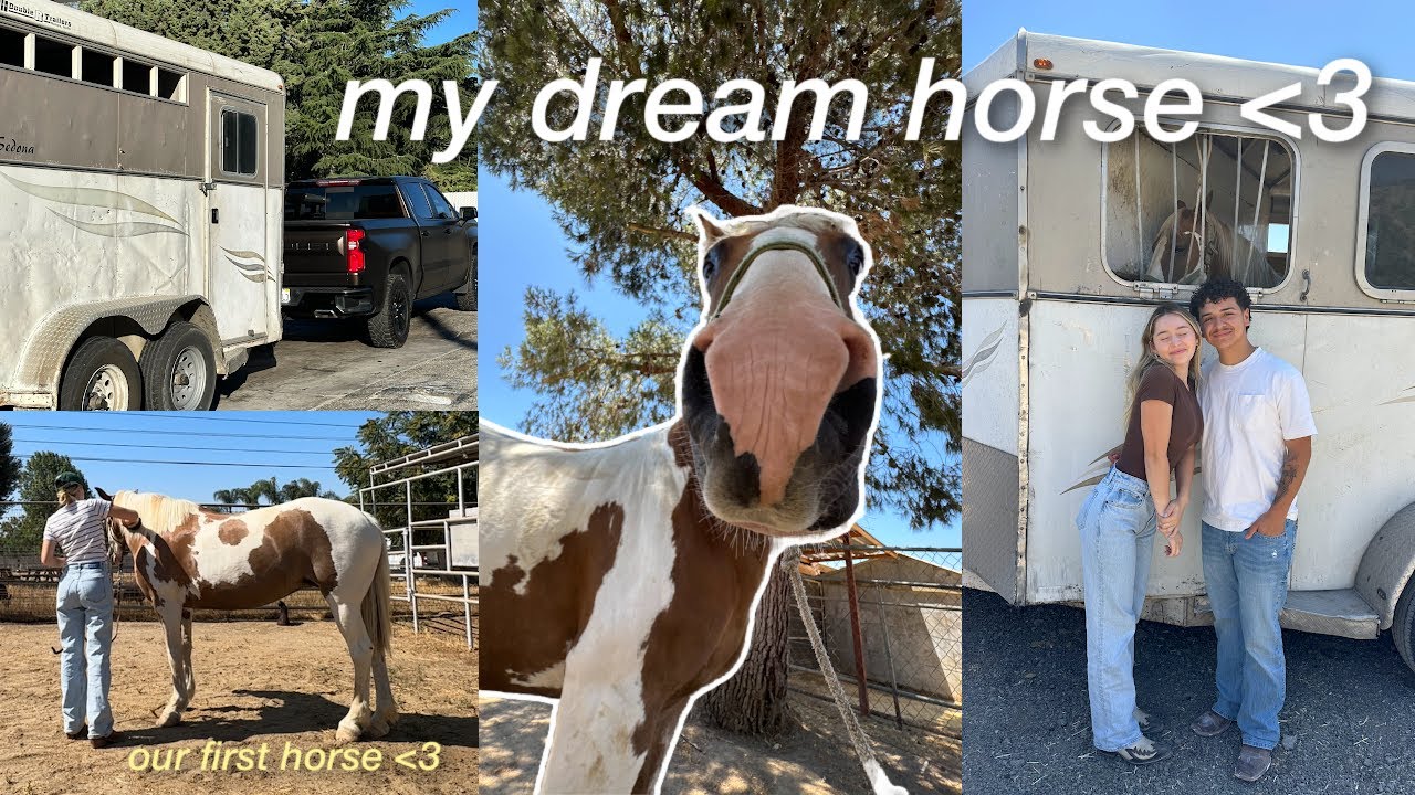 we drove 12 hours to pick up my dream horse 💌 | new barn & vet appt