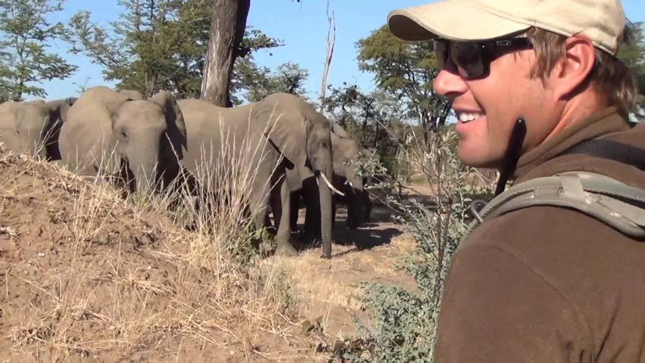 Rukomechi Private Concession Mana Pools Zimbabwe