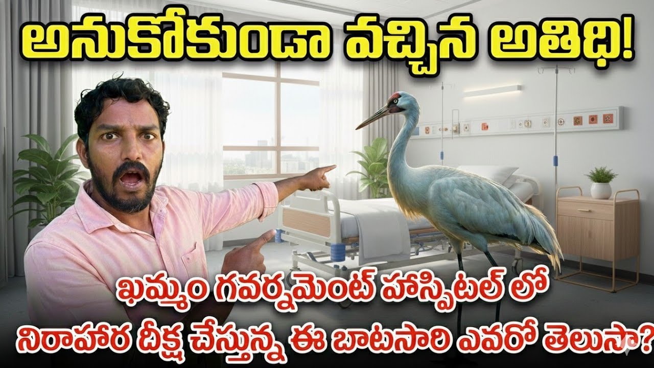 అనుకోకుండా వచ్చిన అతిథి|ఖమ్మం గవర్నమెంట్ హాస్పిటల్ లో నిరాహార దీక్ష చేస్తున్న|ఈ బాటసారి ఎవరో తెలుసా