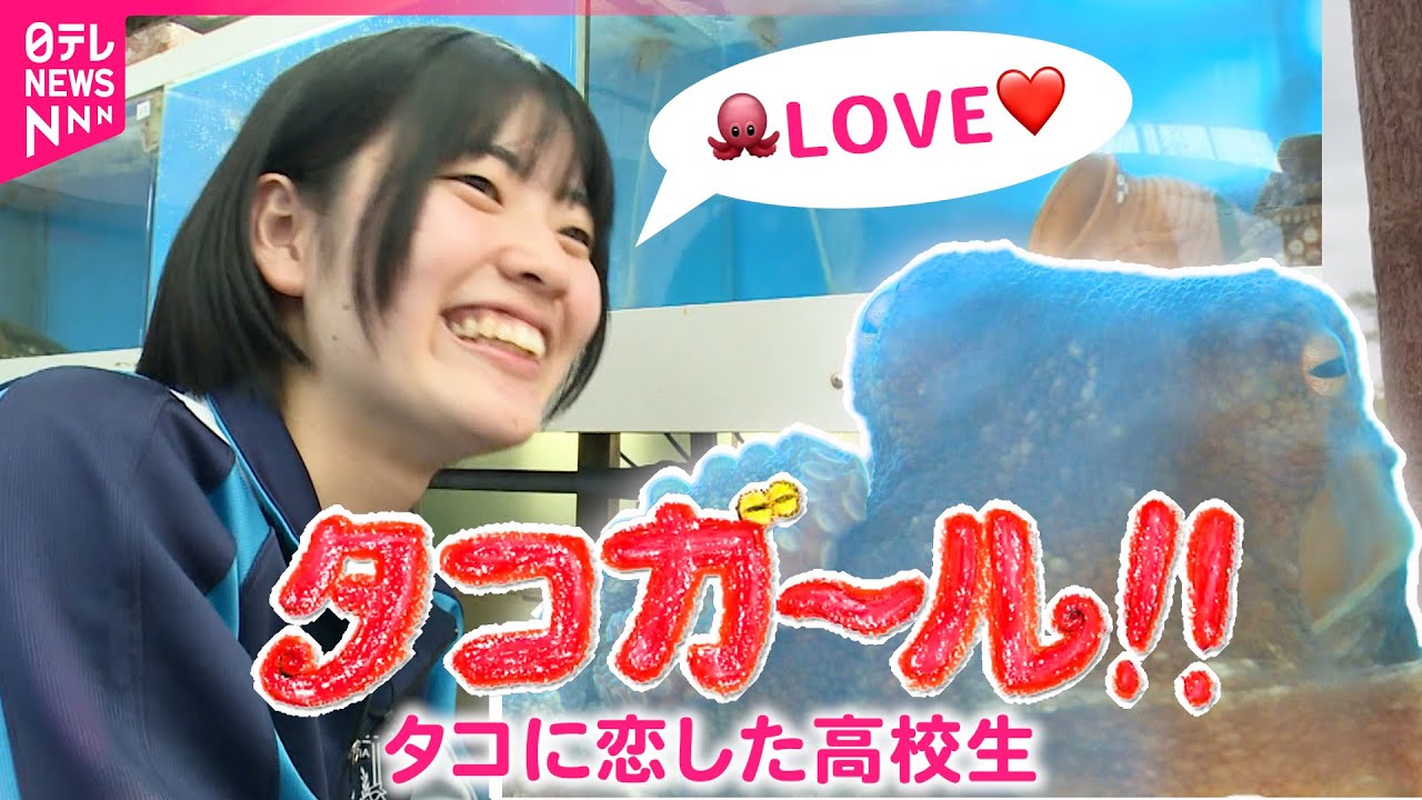 【密着】タコに恋した高校生！愛するタコ