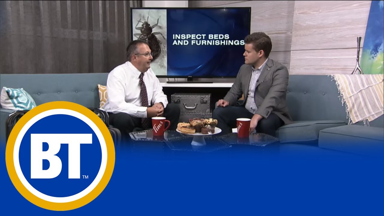 Toronto's #1 for bed bugs in Canada- here's how check for an invasion