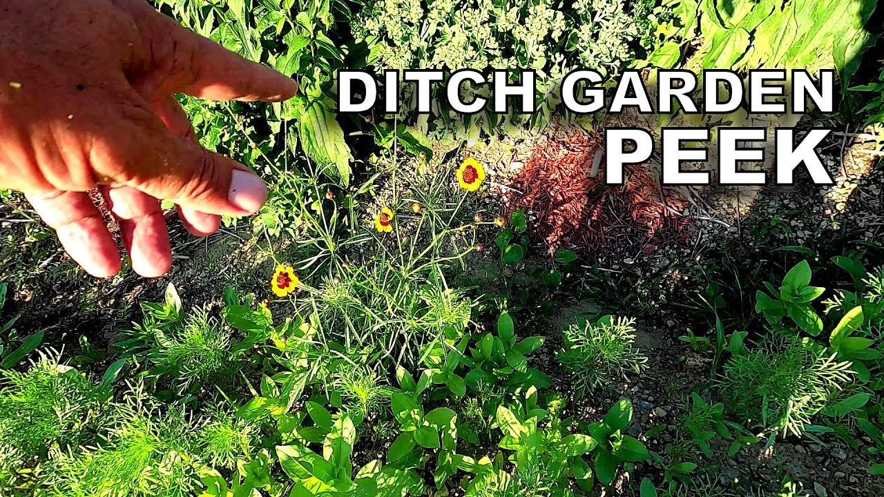 Trimming All Day ― Wrapping Up Road Maintenance ― Ditch Garden Peek