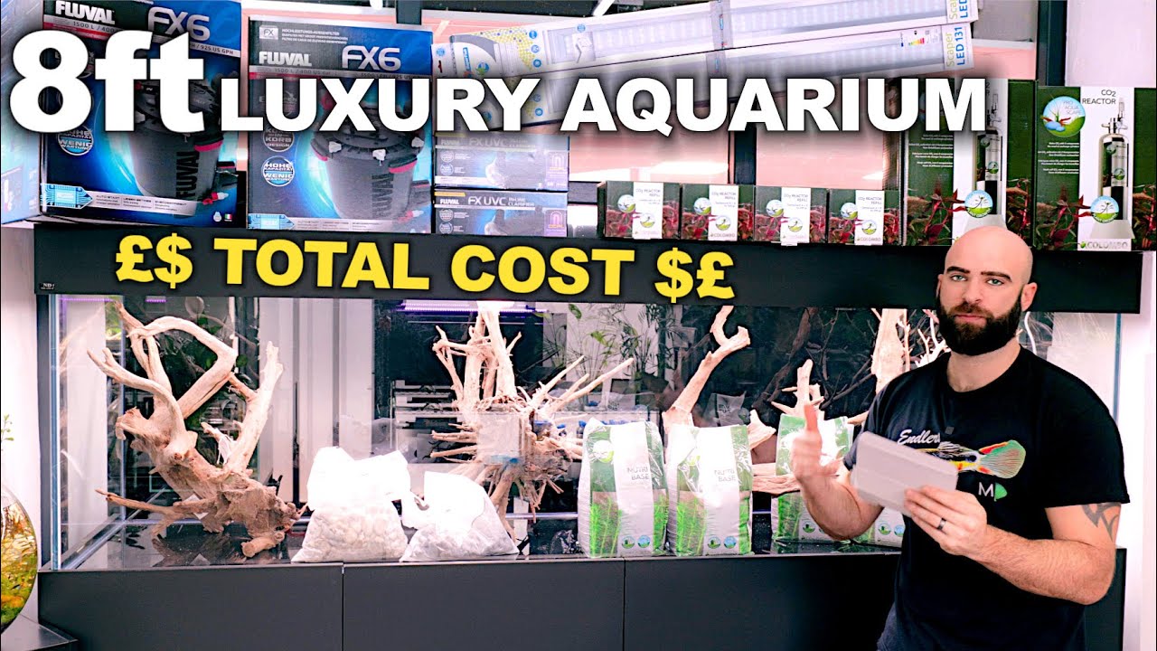 BUILDING 8FT AQUARIUM (full costs / equipment breakdown)