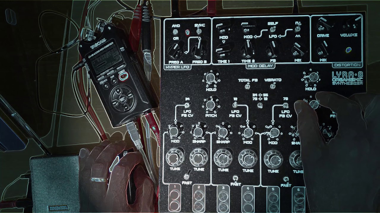 Soma Laboratory Lyra8 - Radio Take