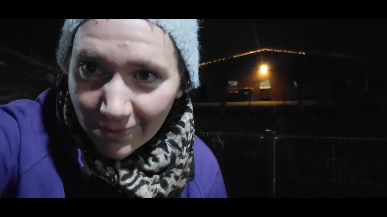 Dagvlog , 
