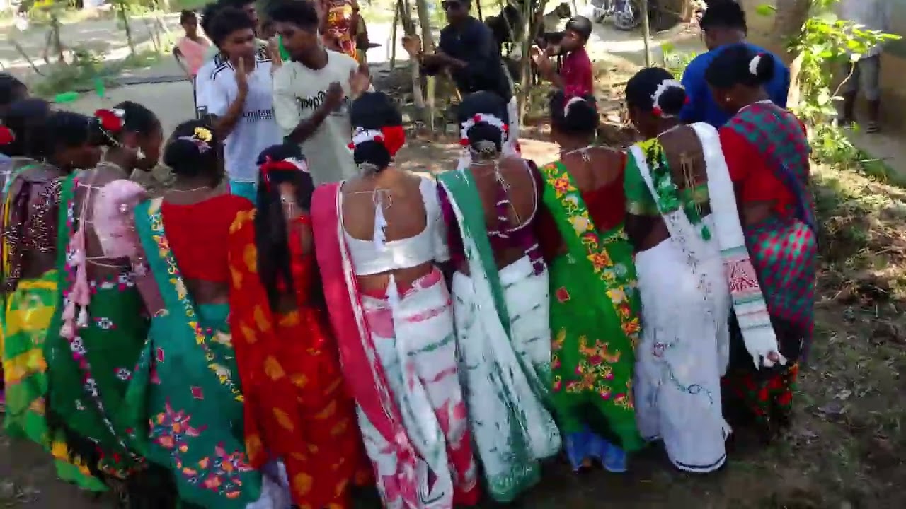 Santhali Tihar Dance / Haldibari 2 parokapi )