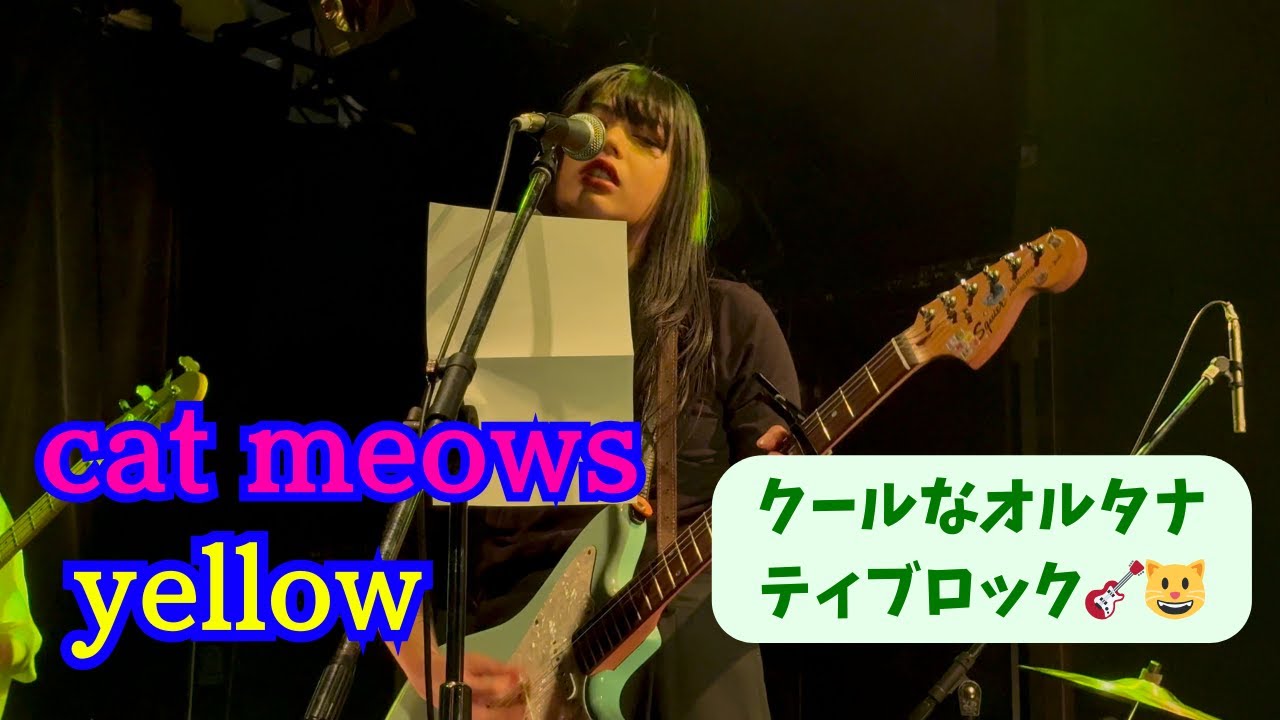 cat meows (新体制) -「yellow」(2026.1.25 Total Feedback at 高円寺HIGH, Tokyo, JAPAN) ー オルタナ好きならぜひ聴いてほしい新曲🎸👍✨
