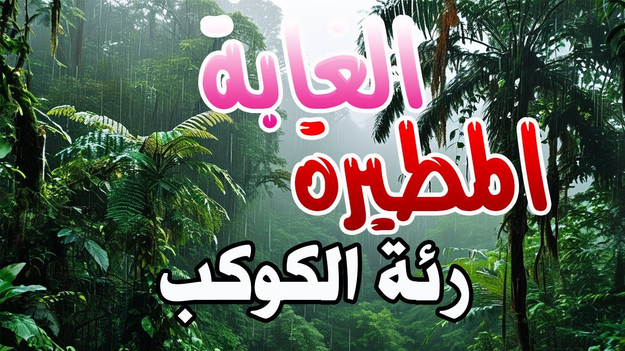 وثائقي | الغابة المطيرة : كنوز رئة الكوكب الخضراء