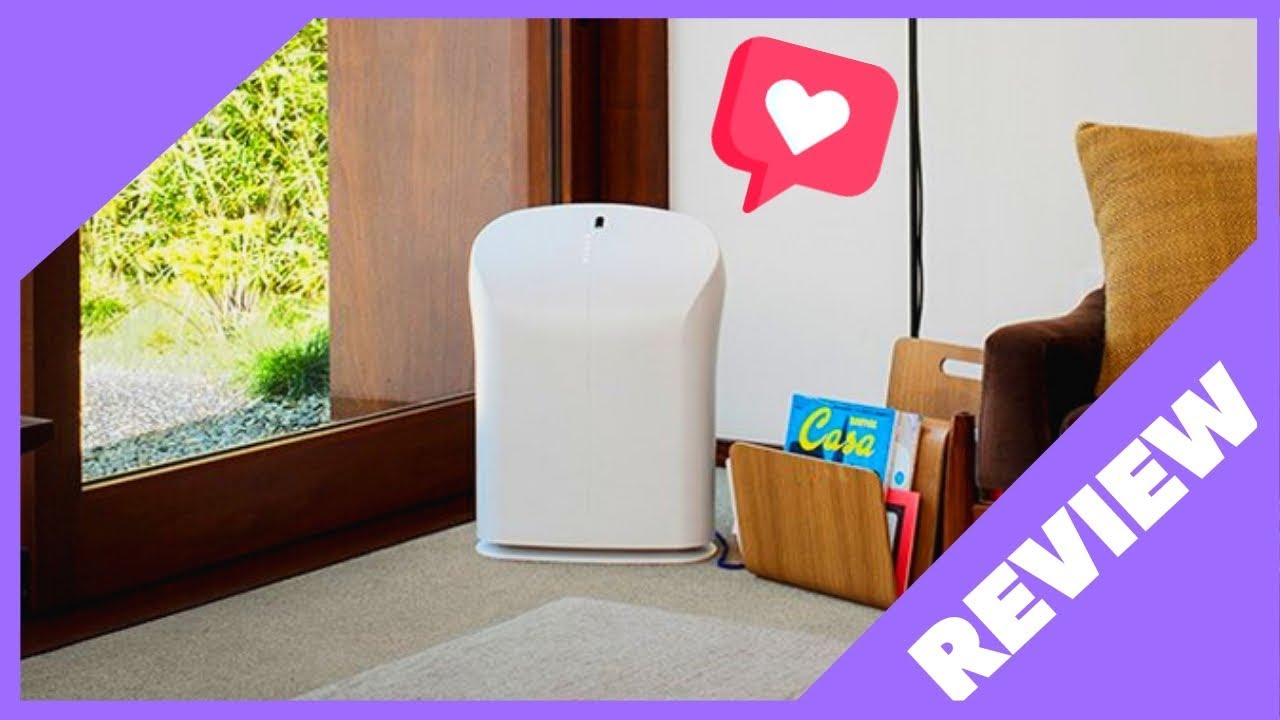 Rabbit Air BioGS 2.0 Air Purifier Review [ ❤️ Model SP-550A ]