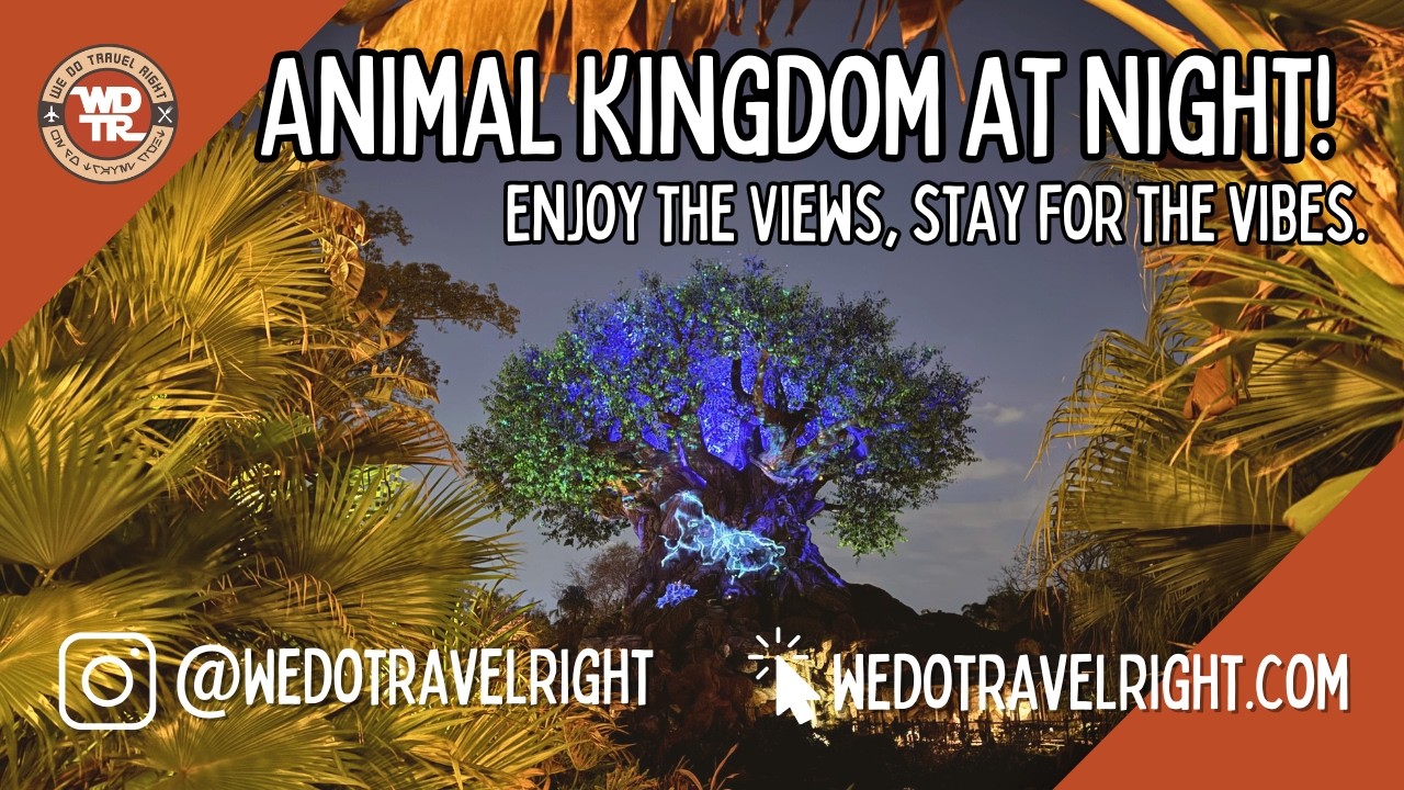 Ночное посещение Animal Kingdom! Наслаждайтесь видами, оставайтесь ради атмосферы.