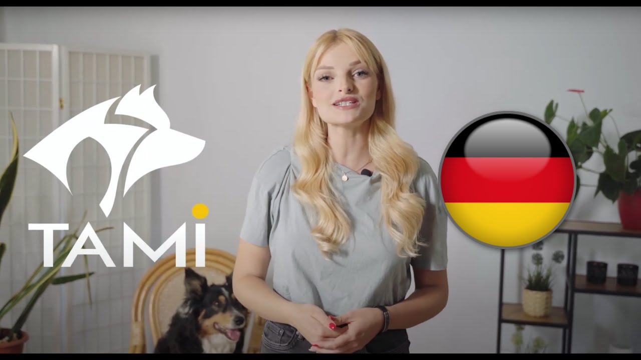 TAMI Hundebox - Anleitung