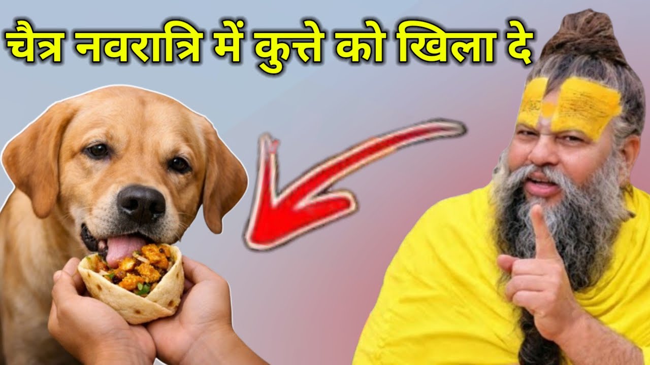  चैत्र नवरात्रि के दिन चुपचाप कुत्ते को खिला दो यह 1 चीज आपकी 7 जन्मों की गरीबी दूर होगी#premanandji